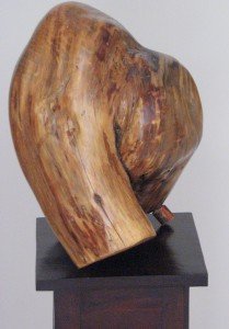 Gloria Baldazzi - Scultura in legno - Armonia di forme - ottobre 2009