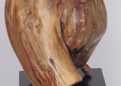 Armonia di Forme