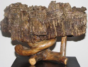 Gloria Baldazzi - Scultura in legno - Muri Infiniti - 2008