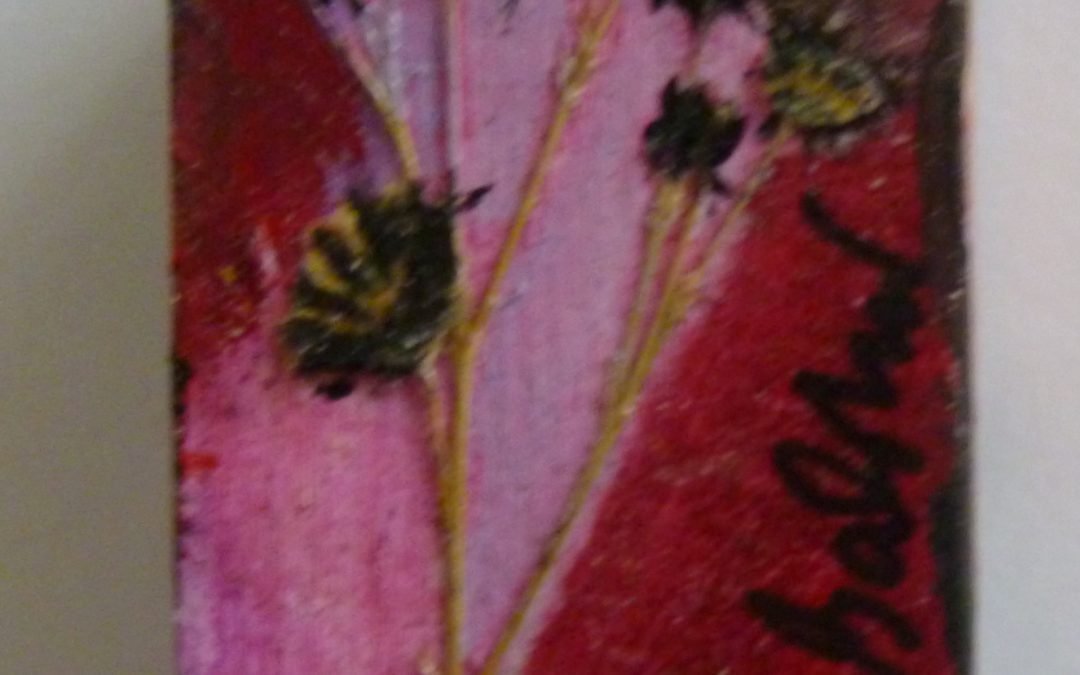 Fiori e…