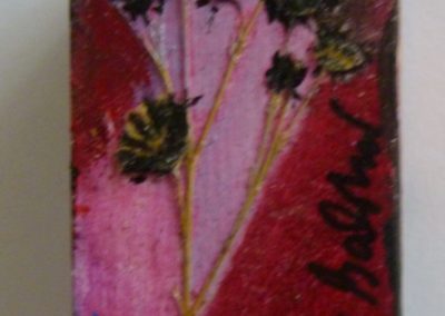 Fiori e…