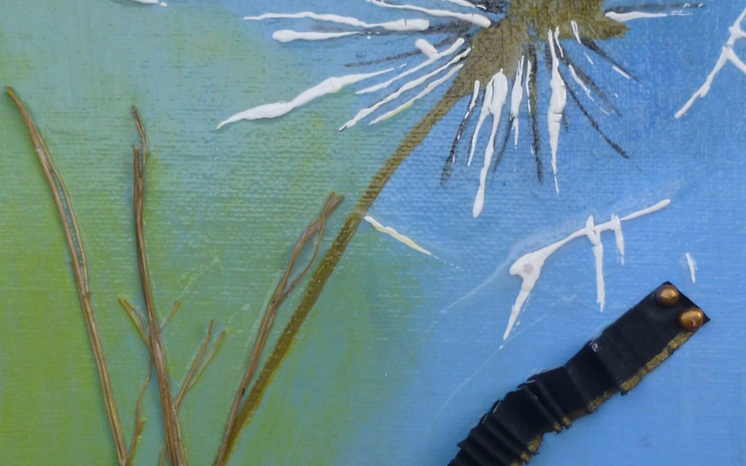 Evoluzione del fiore, taraxacum