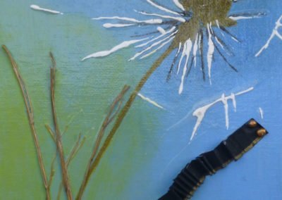 Evoluzione del fiore, taraxacum