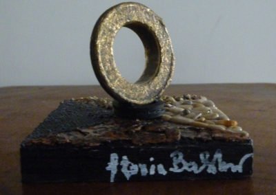 Il cerchio della vita