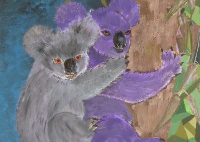 Koala sull’Eucalipto
