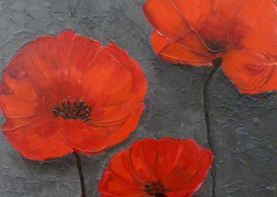 L’estate ci ha lasciato il colore rosso dei papaveri